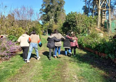 Capacitacion Trabajo En Equipo Aire Libre